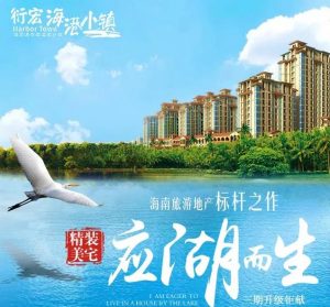 临高县-衍宏海港小镇-